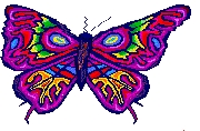 purplebutterfly.jpg